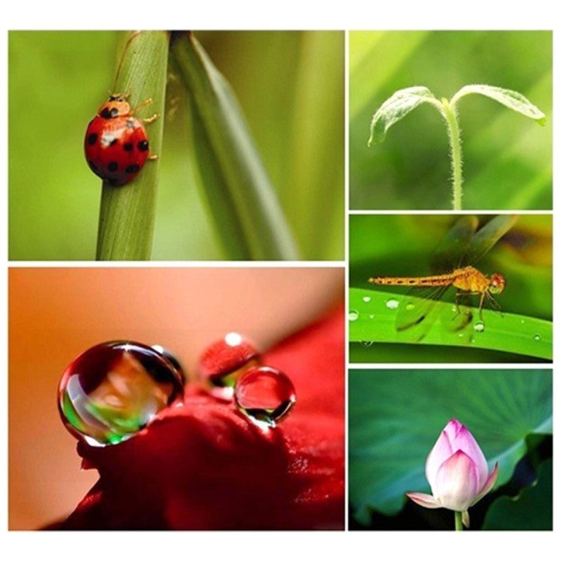 Set lentile pentru telefon 5 in 1, Zola®, plastic, universal, unghi larg. telescopic, negru Set lentile pentru telefon 5 in 1, Zola®, plastic, universal, unghi larg. telescopic, negru